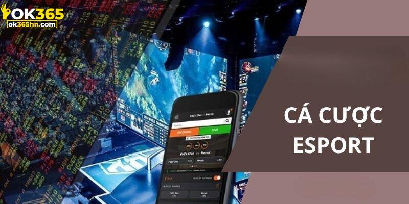 Giới thiệu cá cược esport