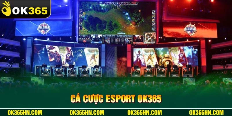 Cá cược Esport OK365