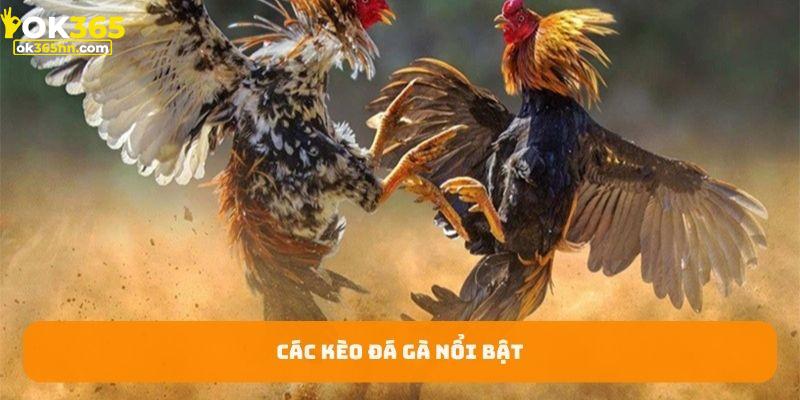 Kèo cá cược nổi bật