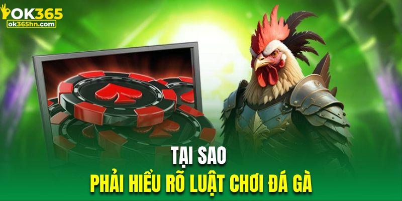 Hiểu rõ luật đá gà giúp hội viên tham gia trải nghiệm dễ dàng hơn