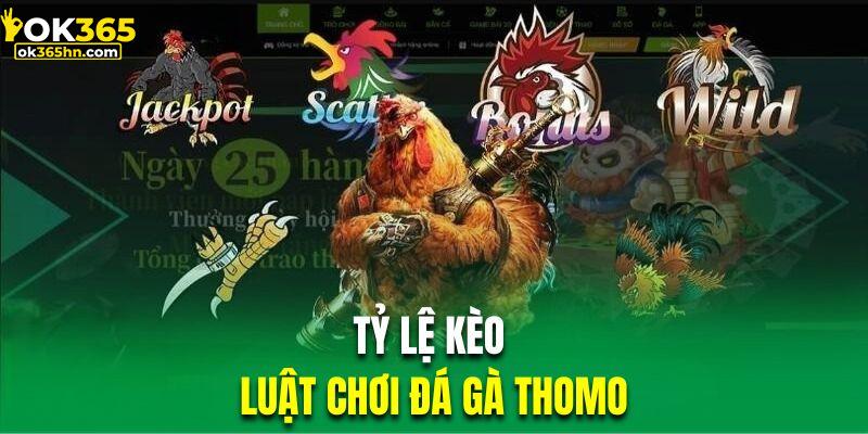 Những tỷ lệ kèo chơi đá gà phổ biến nhất Thomo